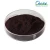 Import Organic Grape Seed Extract,Natural Grape Seed Extract Powder from China