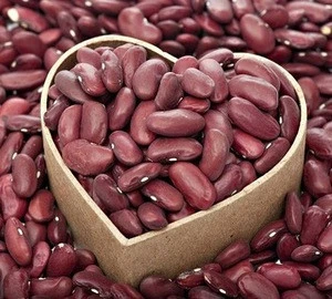 Organic purple speckled kidney bean