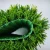 Import Outdoor Turf Plastic Garden Gauge Color Material Yarn Origin Type Grass Size from China
