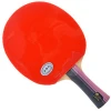 Palio 3 star table tennis racket two pimples in rubber long handle carbon bat wholesale