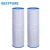 Import PAP150 C-9415 FC-0687 swimming pool filter for household swimming pool filter from China