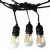 Import Party decoration black/whtie cable E26/E27  festoon led Christmas string light  led outdoor from China