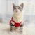 Import Peaktoppets Sweet Cat Clothes Pet Dog Warm Jumper Knit Sweater Clothes Puppy Cat Knitwear Ropa Perro Pet Apparel & Accessories from China