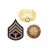 Import Personalized custom logo uae die cast gold plating souvenir epoxy badge metal brass enamel lapel pin from China