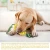 Import Pet Supplies Interactive Dog Chew Toys With Cotton Rope Dog Toothbrush Toys from China