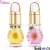 Import Pinpai brand nail art care dry flower nail cuticle revitalizer oil from China