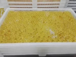 Plastic Tray and trolley for drying capsules ,paintballs and other softgel production