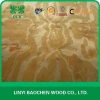 Plywood face veneer / New Zealand Rotary cut Radiate pine veneer 1270x2550mm / cheap pine wood veneer sheet