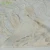 Import Polyester Cotton Nylon Shiny Lurex Beige Lace Fabric from China