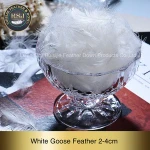Promotional badminton shuttlecock goose feather for exporting