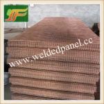 protection fence / artistic mesh fence / welded wire mesh fence panels in 12 gauge