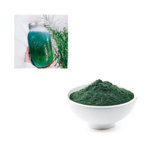 Pure Natural Powder Spirulina cure Brain Tumor and for weight loss