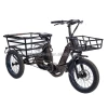 RaiderTrike-C202 Durable 3 Wheel Mid Motor Pedal Assist Electric Cargo  bikes Electric Tricycles for adults