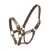 Import Rainbow Horse Halters Arabian Horse Leather Halter Suppliers from India