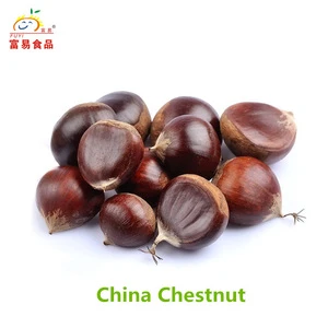 Raw Material New Fresh Natural Taste Crop Chestnut