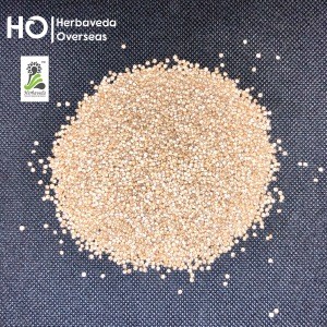 Raw White Quinoa Vegan And Gluten Free Conventional grade Indian Quinoa Without Sapponin
