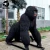Import Realistic animatronic animal gorilla king kong from China