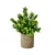 Import Realistic Fake Plants Rosemary Plant Mini Potted Artificial Plants in Gray Pot for Bathroom Home decoration from China