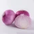 Import Red / purple fresh onion manufacturer from China from China