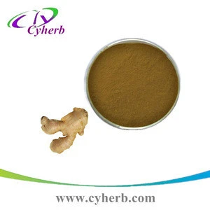 Reliable manufacturer ginger root extract/ginger extract powder/ginger extract gingerol