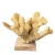 Import Resin Coral Sculpture Table Top Ornament Decorative Sea Life Tabletop Figurine Vibrant Colored Natural Display collection from China