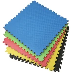 Reversible Gym Carpet Kickboxing Taekwondo Eva Foam Tatami Puzzle Mat Martial Arts Mats