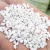 Import SGS Test expanded perlite for agriculture growing media from China