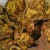 Import Shi liu pi dried fresh pomegranate peel herbal medicine for ellagic acid flour from China