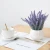 Import Simulation Lavender Artificial Plants Potted Ceramic Flower Pot Home Living Room Fake Flower Decoration from China