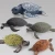 Import Simulation wild animal model toys Animal Toy Dinosaurs Sea Animal Figure Children custom gifts from China