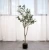 Import Small Artificial Olive Trees Plant, Cheaper Olive Trees in Pot, Ornamental Olive Tree from China