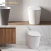 Smart toilet bidet washing one piece auto flushing and drying ceramic flooring smart automatic wc toilet