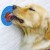 Import Soft Silicone Dog Lick Pad Mat Bowl pet food plate pet dog bath slow feeder from China