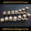 solid brass chicago screw for leather belt