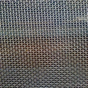 Stainless Steel Crimped Wire Mesh/Crimped Mesh for Fruit Drying Racks/square wire mesh crimped