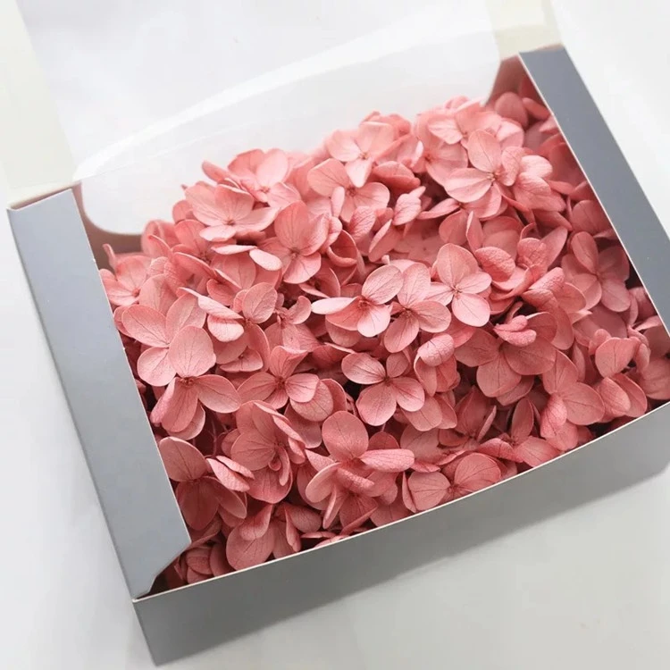 Supply preserved hydrangea of 200g/box with high quality for wedding decoration