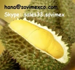 sweet fresh durian fruit for export and sale