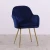 Import T-DC-H001 Nail salons Hair salons furniture velvet chair dining chairs from China