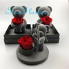 The design of love expression from Japan preserved rose flower