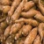 Import Top Grade Fresh Cassava/FRESH CASSAVA TUBERS/SWEET TAPIOCA FRESH CASSAVA for sale from Philippines