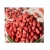 Import Top Grade Red Skin Peanuts / Blanched Peanut Kernels / Roasted / Salted Redskin Peanuts from VietNam from Vietnam