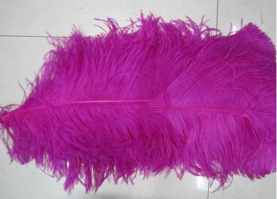 top quality fast delivery time colorful ostrich feather