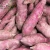 Import TOP QUALITY fresh purple sweet potato or yellow sweet potato from Vietnam