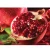 Import Top Selling Egyptian Fresh Pomegranate Cheap Price from Egypt