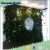 Import Tornado crafts wholesale top quality artificial plant wall fake hanging plant wall evergreen indoor artificial decorative plant from China