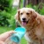 Import Trussu Wholesale Outdoor Travel Portable Drinking Feeder Pet Dog Water Bottle from China