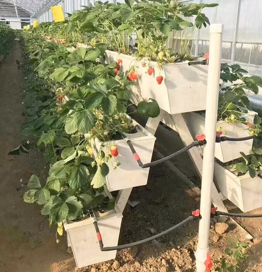 U Type Plastic PVC Strawberry Gutter Hydroponic Plant Gully