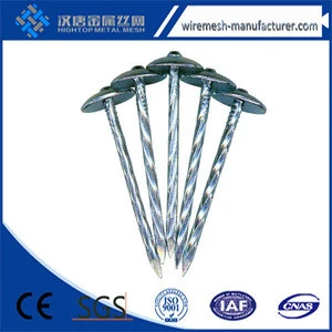 umbrella head roofing nail/ Galvanized roofing nail for Building decoration renovation