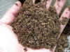 Vermicompost bed material,substrate peat,coco pellet replacement of PEAT MOSS