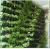 Import vertical green wall hanging plant plastic pot, green wall planter from Taiwan